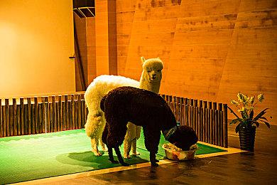 游戏圈“业进民退”？Y3编辑器是怎样让打工人直起腰杆的